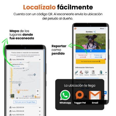 localiza tu mascota con la placa con qr tagger pet